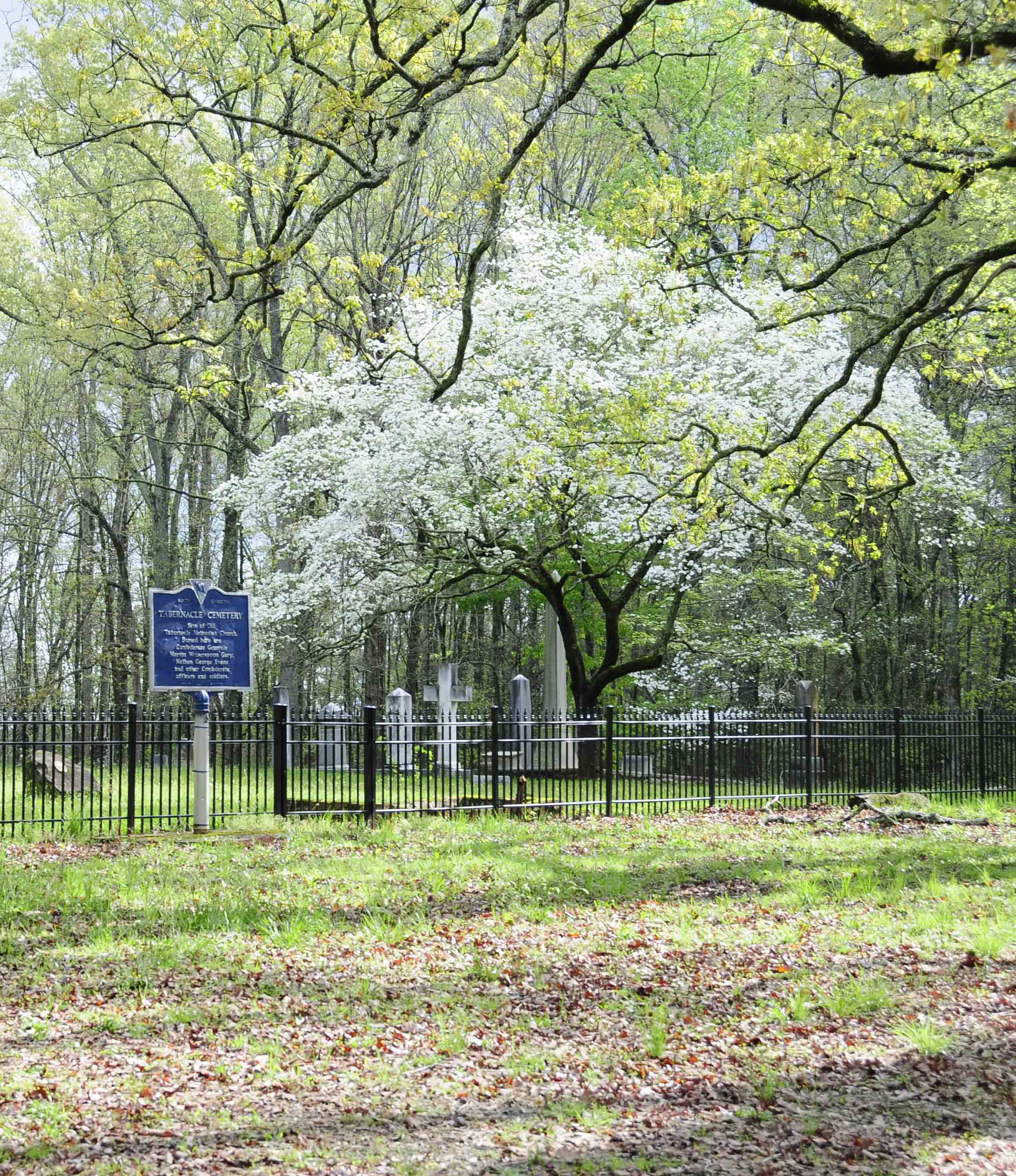 Photo of Tabernacle Cemetery