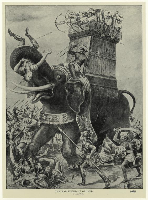 The_war_elephant_of_Inida..jpg