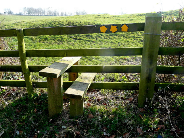 File:Three-way stile - geograph.org.uk - 1265562.jpg