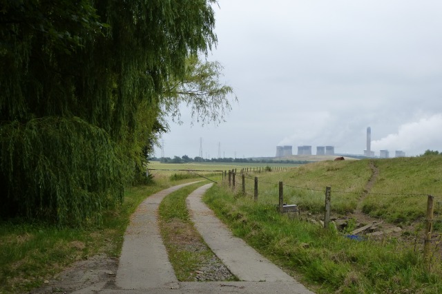 File:Track along the Ouse - geograph.org.uk - 3568946.jpg