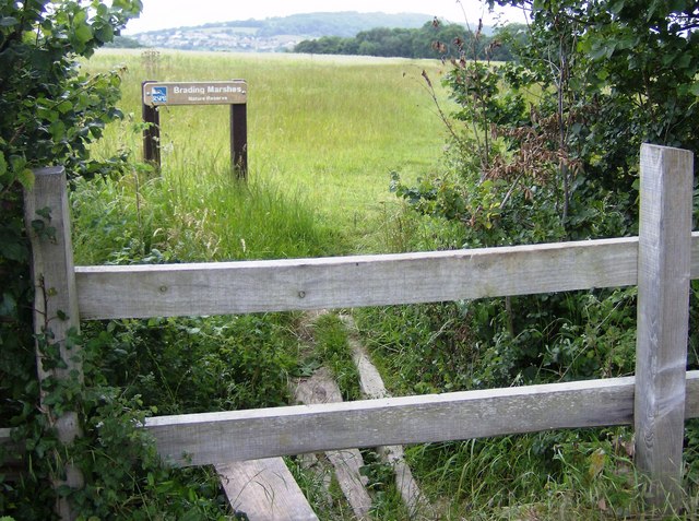 File:Trail across Brading Marshes - geograph.org.uk - 469544.jpg