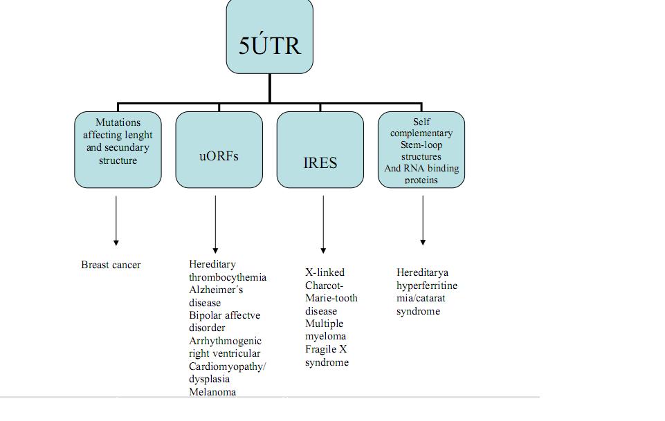 UTR enfermedades 1.JPG