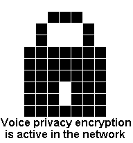 Файл voices. Voice privacy.