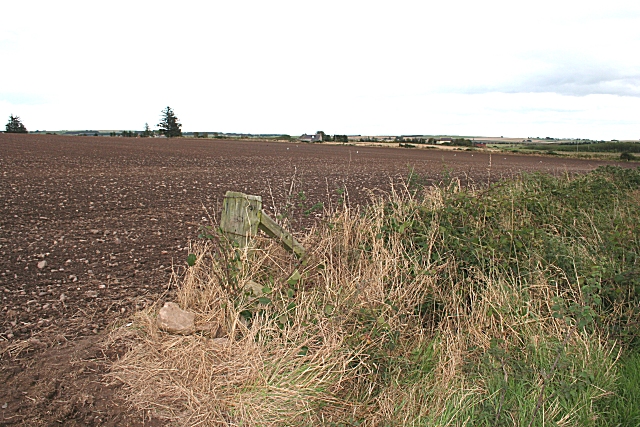 File:Walkerhill - geograph.org.uk - 563422.jpg