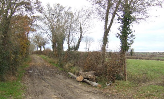 File:Wall Ditch Lane - geograph.org.uk - 622575.jpg