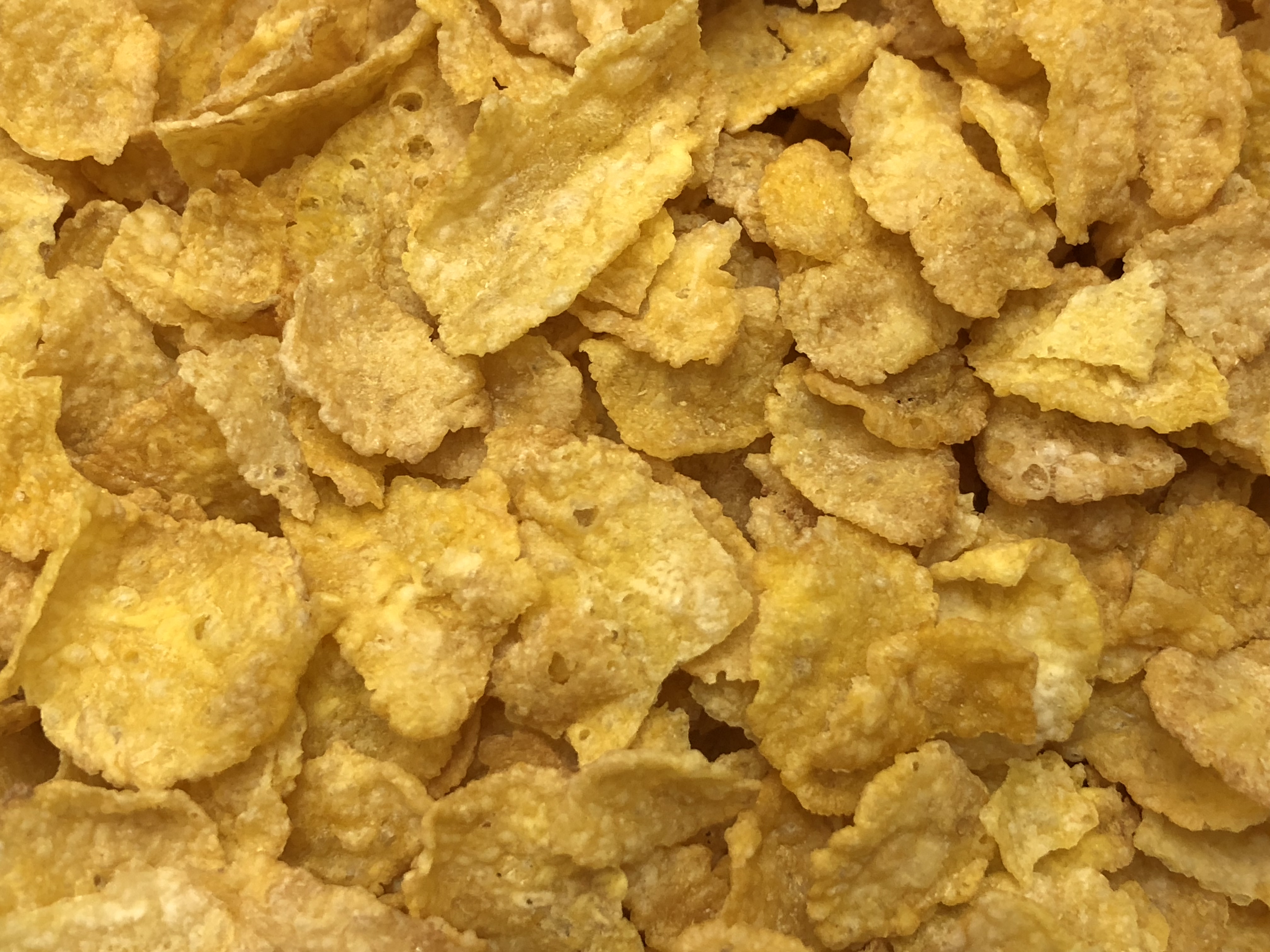 Homemade Corn Flakes Cereal - The Healthy Home Economist