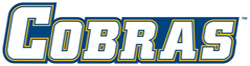 5A OfficialSecondaryWordMark.jpg