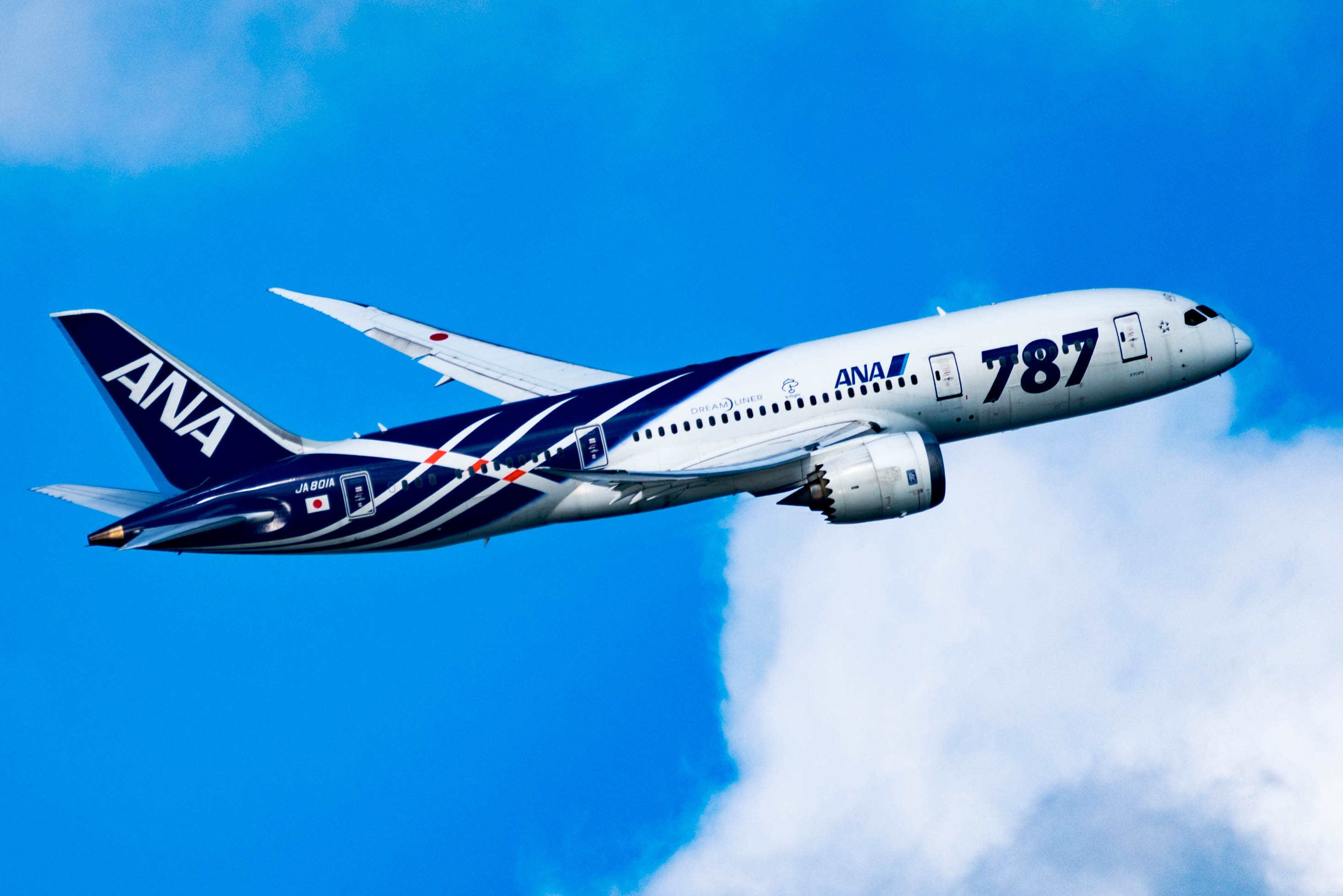 File:ANA B787-8 (JA801A).jpg - Wikimedia Commons