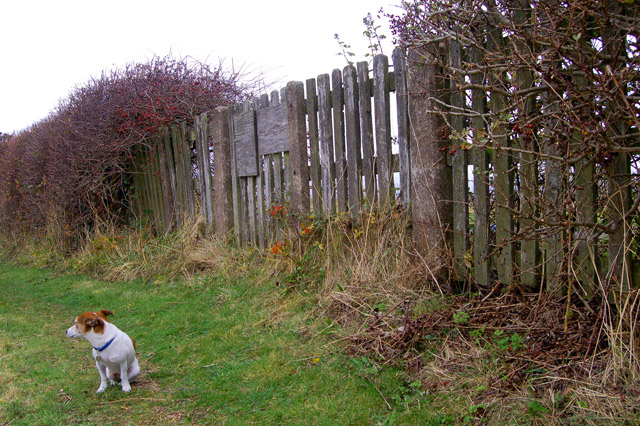 File:An historic fence beside the Oxford Canal - geograph.org.uk - 1586979.jpg