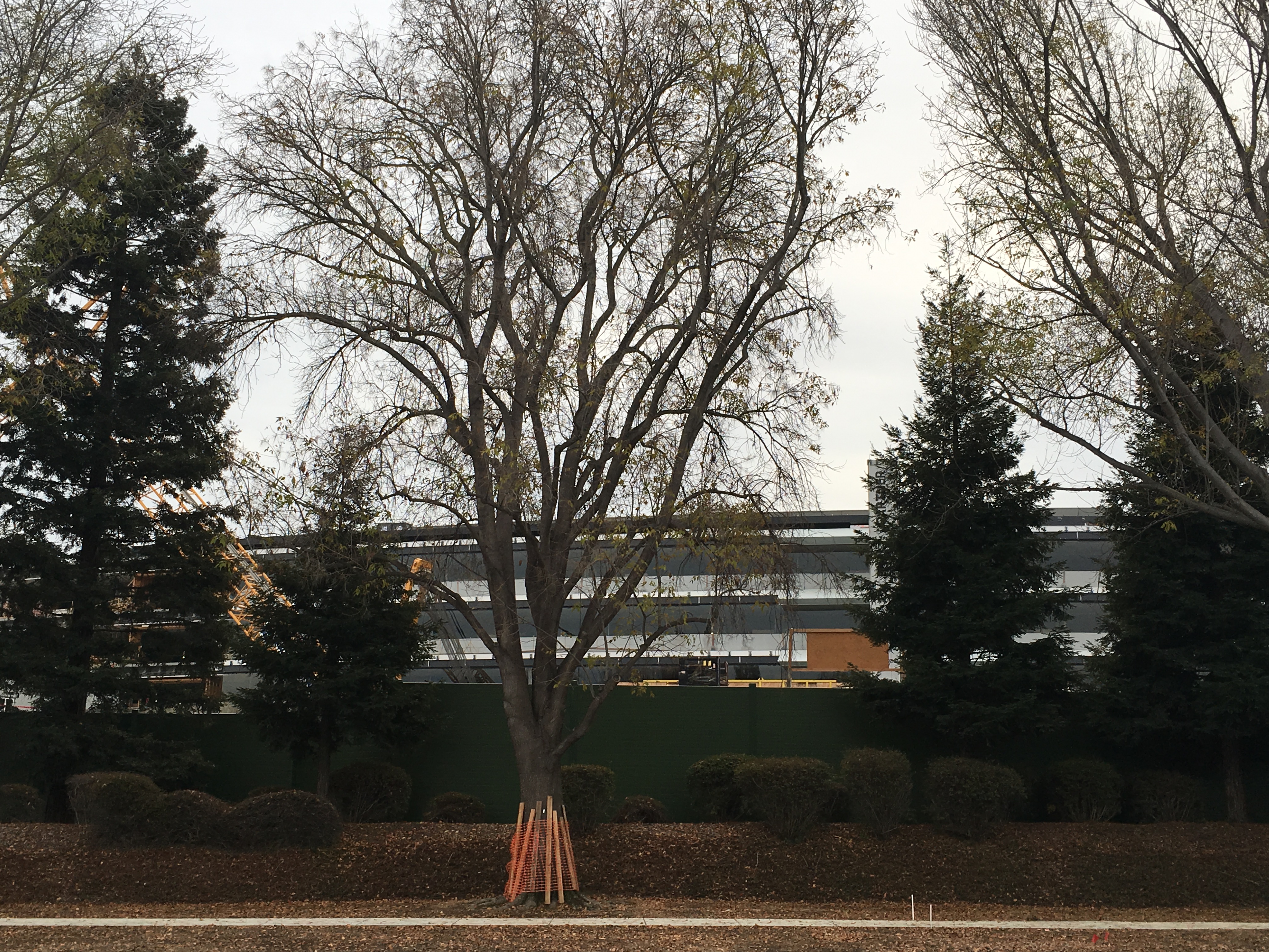 Photo of Apple Park