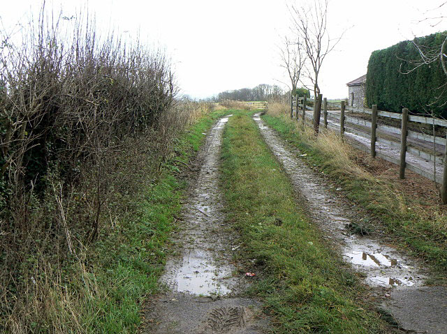 File:Bridleway at Owthorpe Lodge - geograph.org.uk - 1614796.jpg