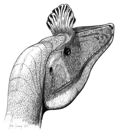 El criolofosaure.