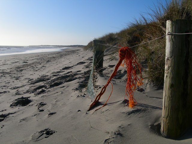 File:Curracloe Beach - geograph.org.uk - 646018.jpg