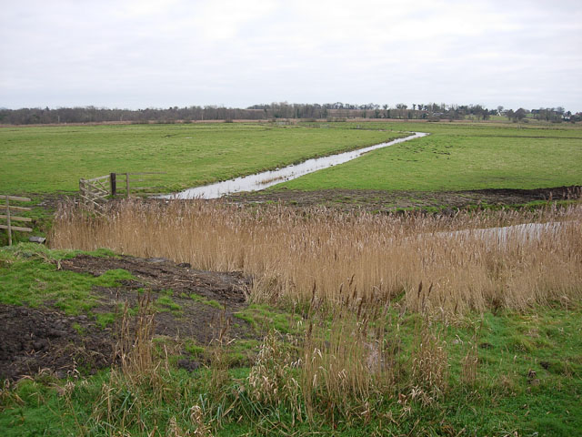 File:Ditch across Cantley Marshes - geograph.org.uk - 1117708.jpg