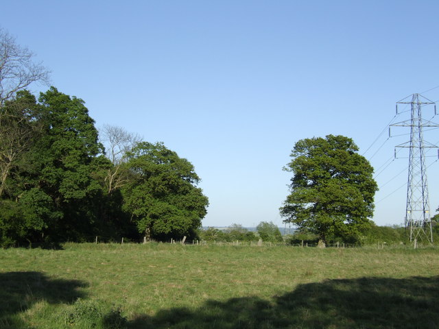 File:Edge of Derry's Wood - geograph.org.uk - 421489.jpg