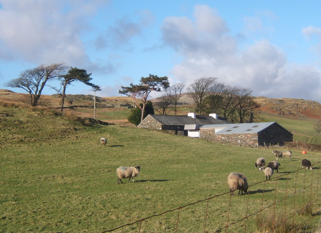 File:Fields around Whinfield Ground - geograph.org.uk - 687059.jpg