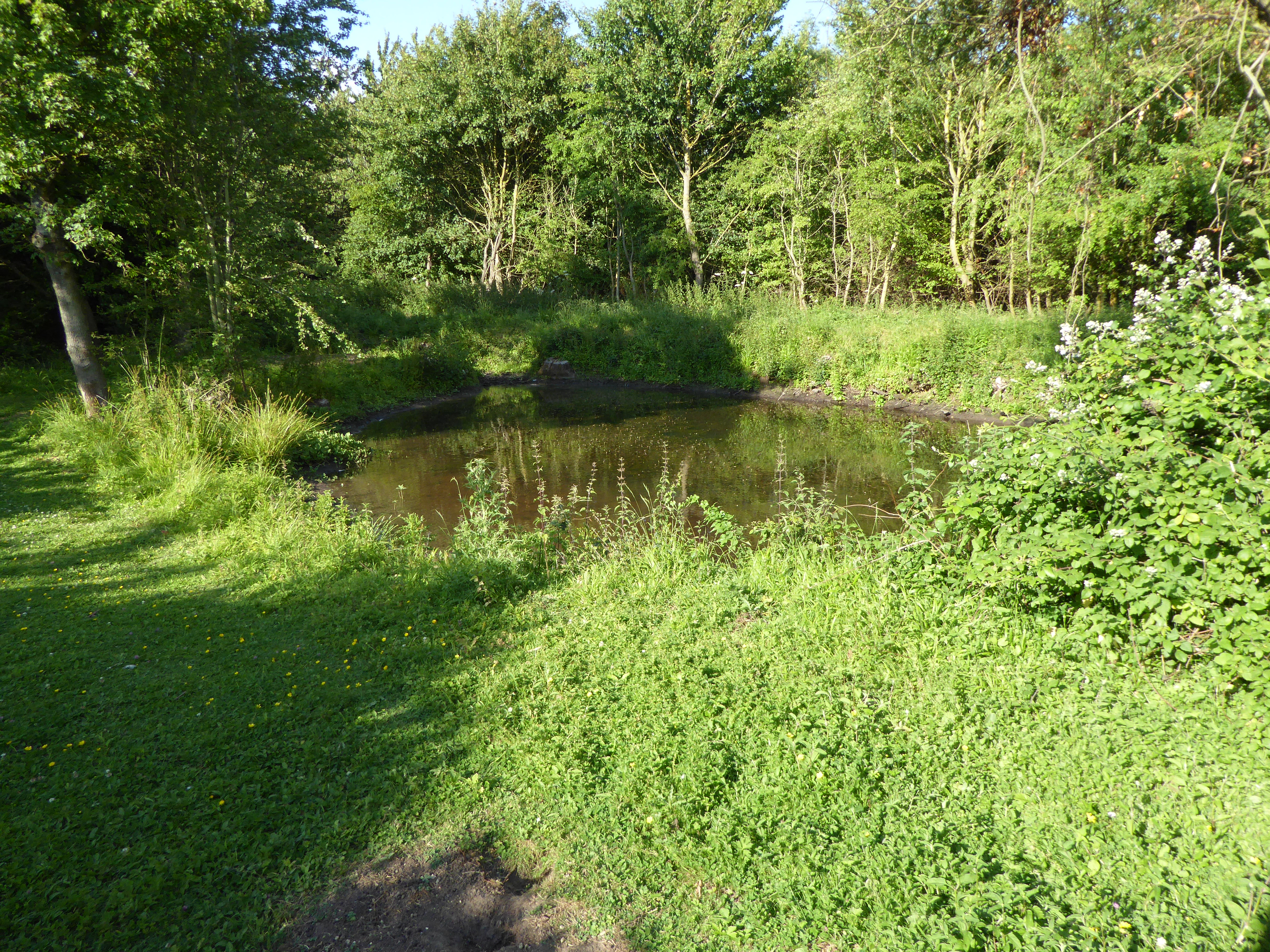 Foxburrow Farm