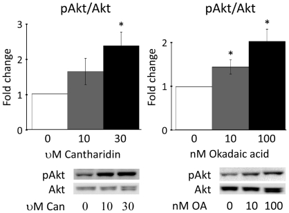 File:Free-Fatty-Acid-Induced-PP2A-Hyperactivity-Selectively-Impairs-Hepatic-Insulin-Action-on-Glucose-pone.0027424.g005.jpg