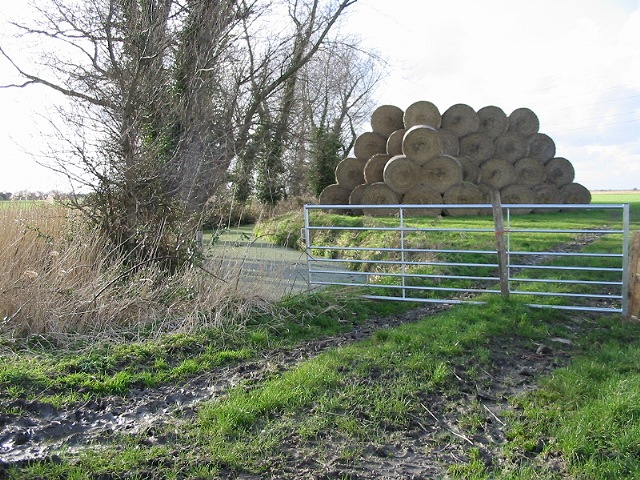 File:Gateway into field - geograph.org.uk - 351590.jpg