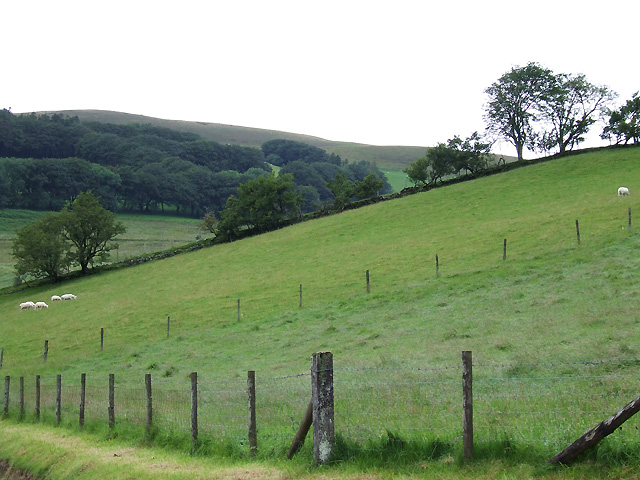 File:Grazing Land, Cwm Brefi, Ceredigion - geograph.org.uk - 520033.jpg