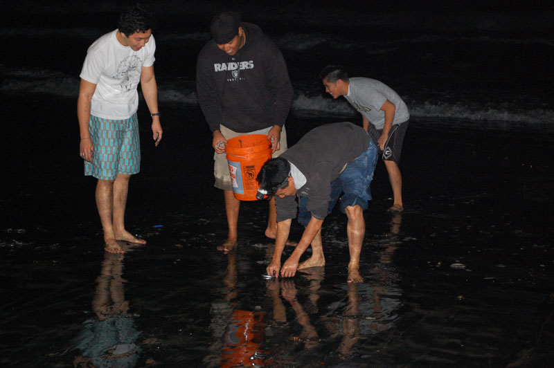 File:Grunion run - la jolla shores - 800px.jpg