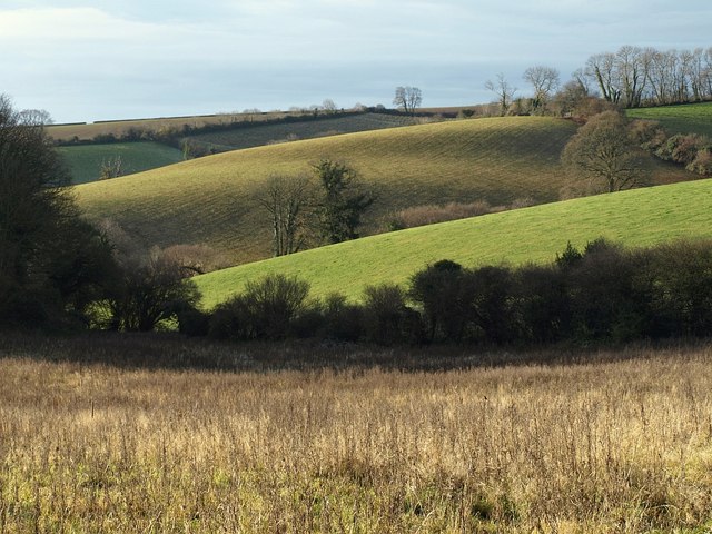 File:Head of Cockington valley (3) - geograph.org.uk - 1079989.jpg