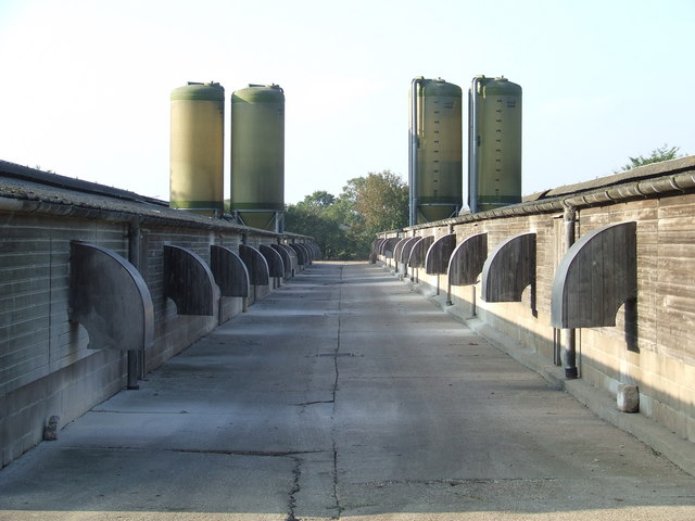 File:Hen houses - geograph.org.uk - 585154.jpg