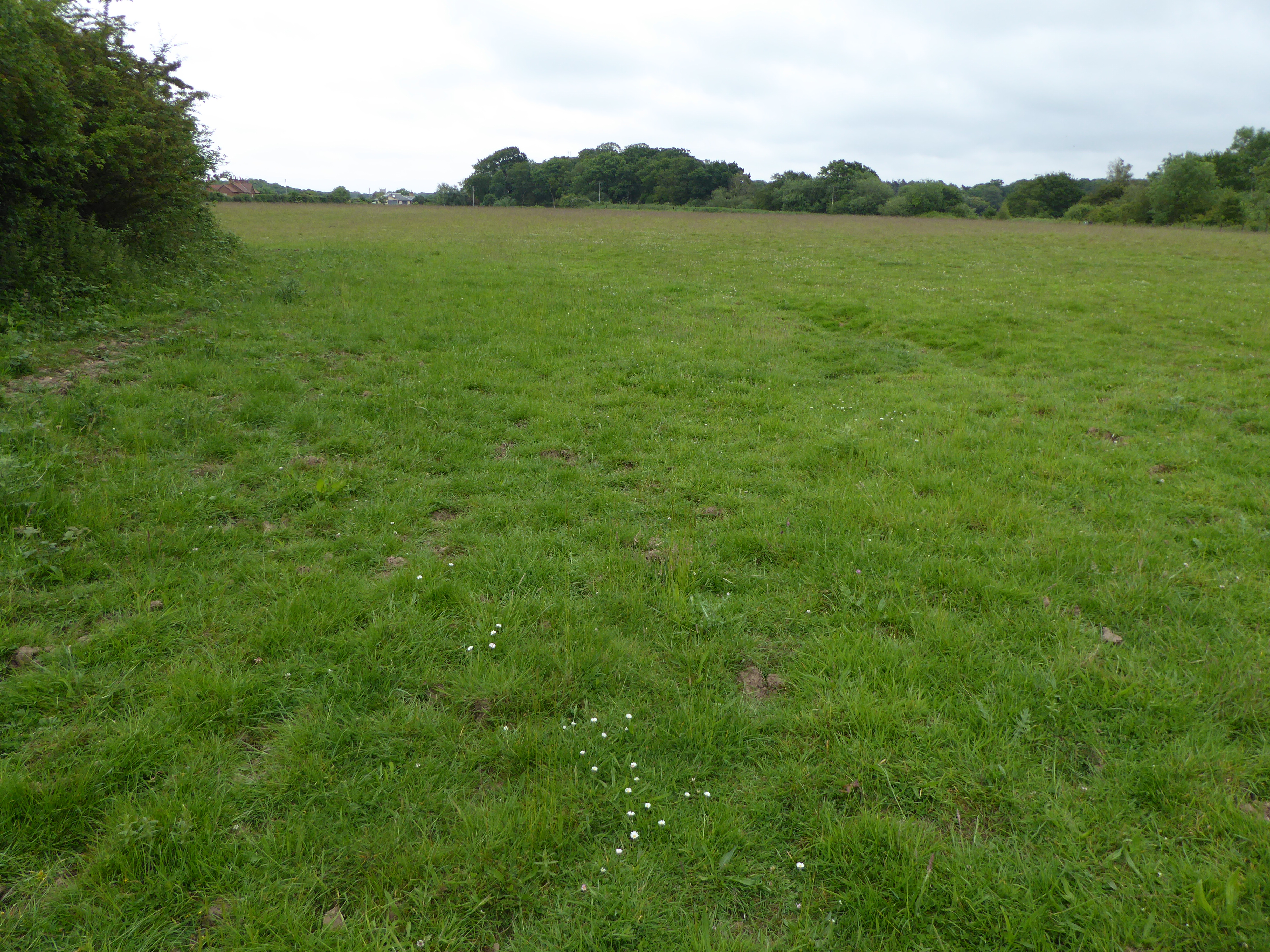 Holkham Brick Pit