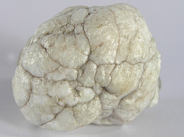 File:Howlite-122859.jpg