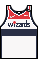 File:Kit body washingtonwizards association.png