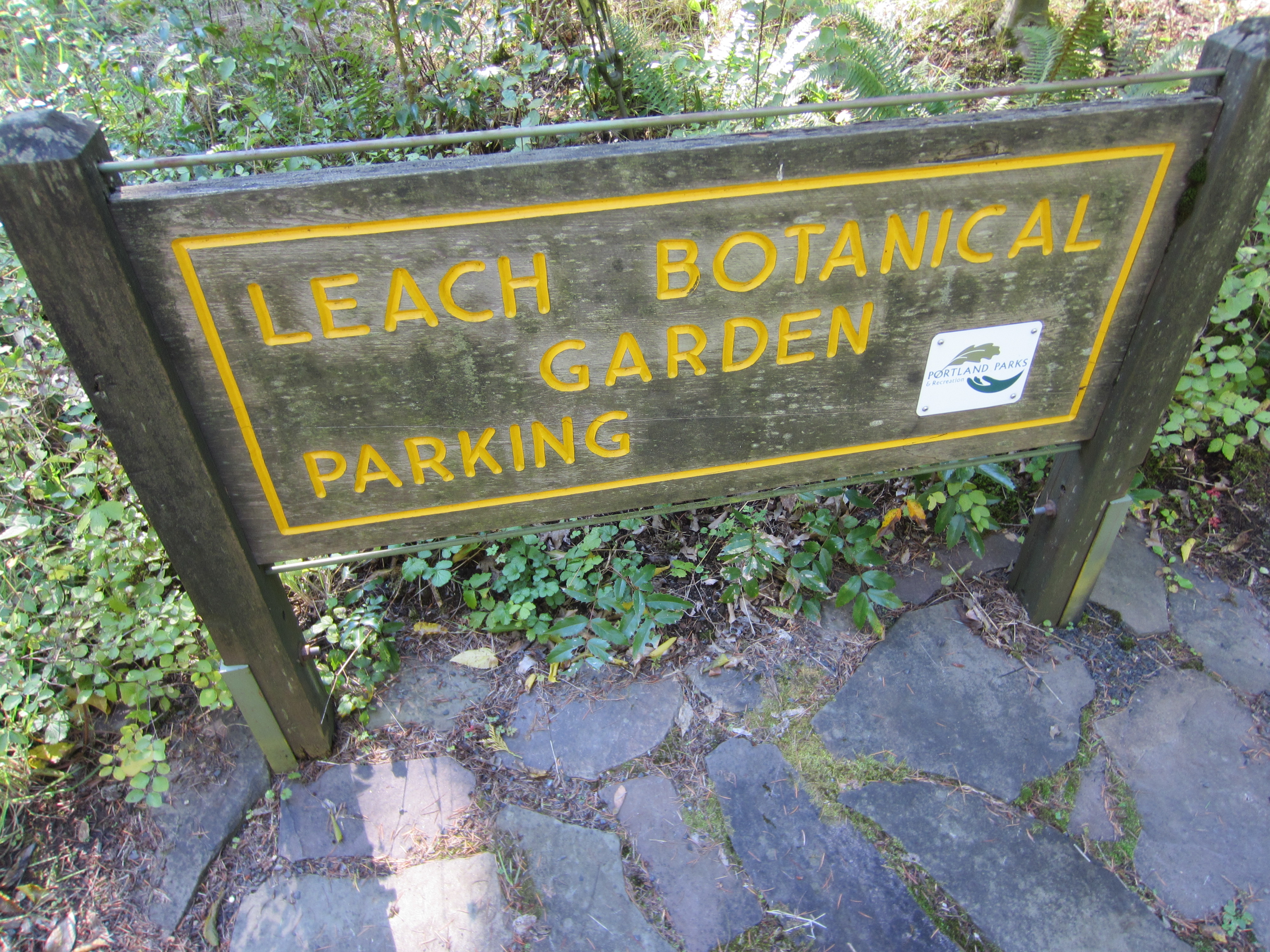 File Leach Botanical Garden Oregon 2013 18 Jpg Wikimedia
