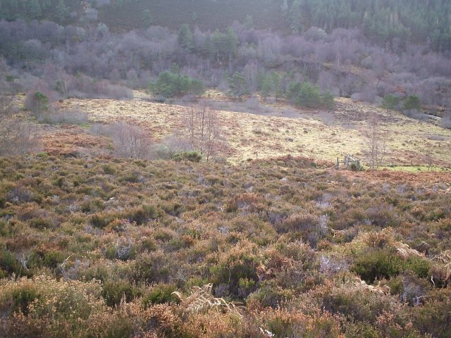 File:Looking down into Strathrory - geograph.org.uk - 112480.jpg