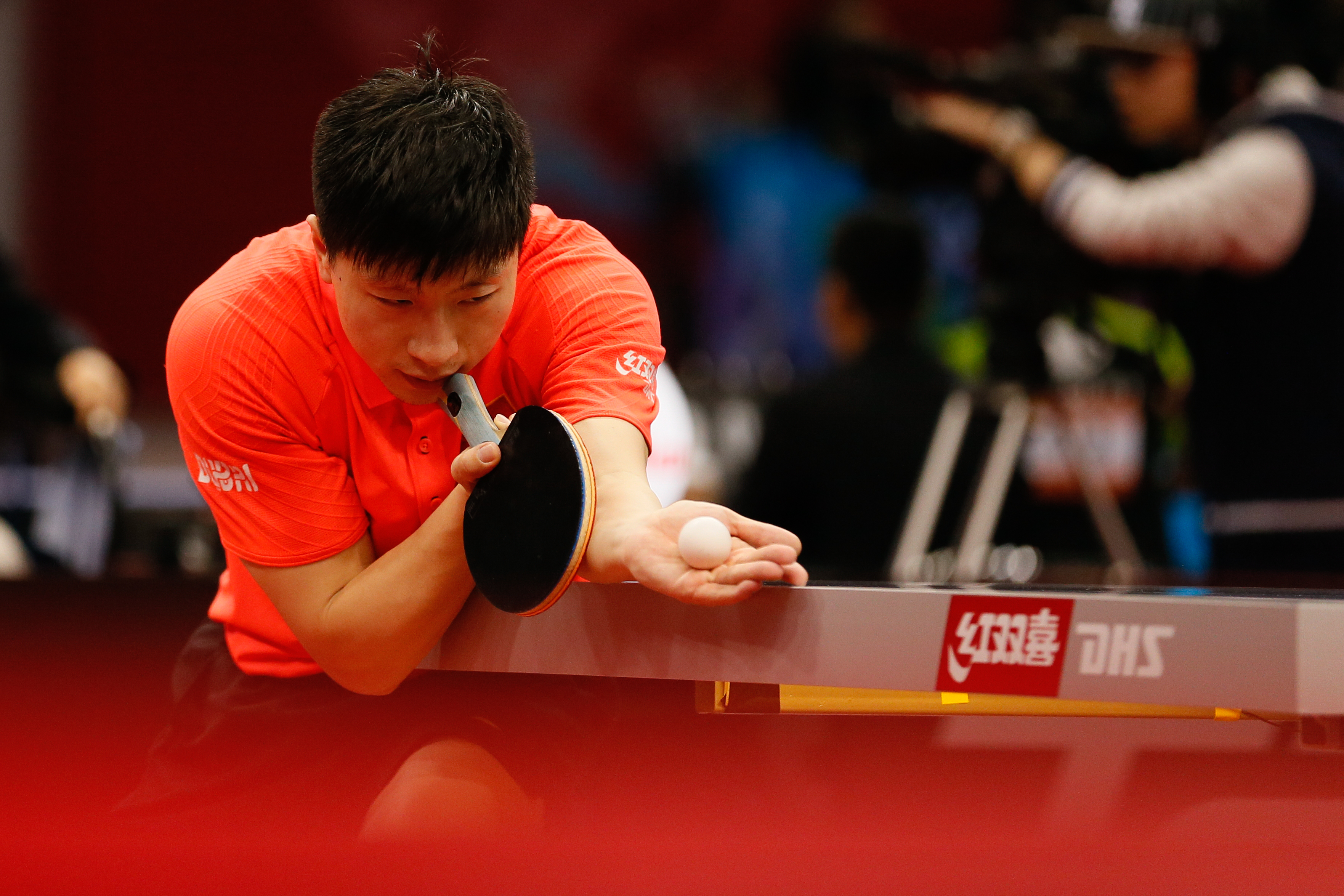 Ma long backhand Backspin