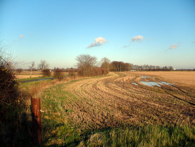 File:Near Immingham Grange - geograph.org.uk - 295844.jpg