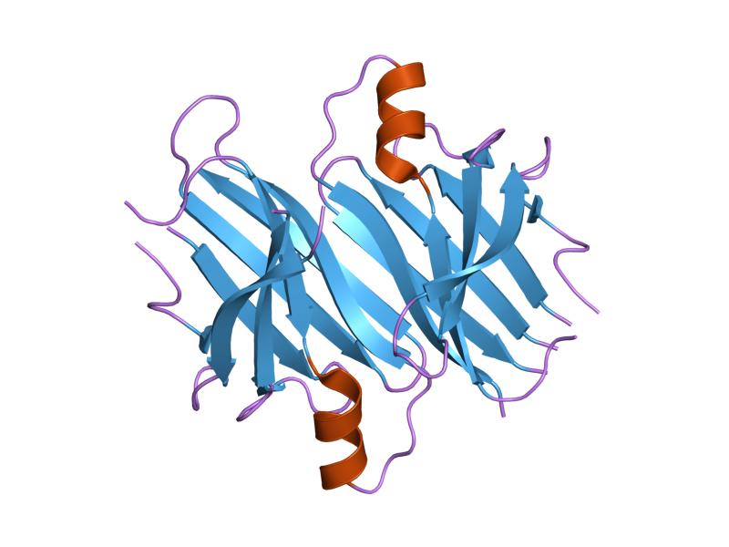 File:PDB 1qwh EBI.jpg