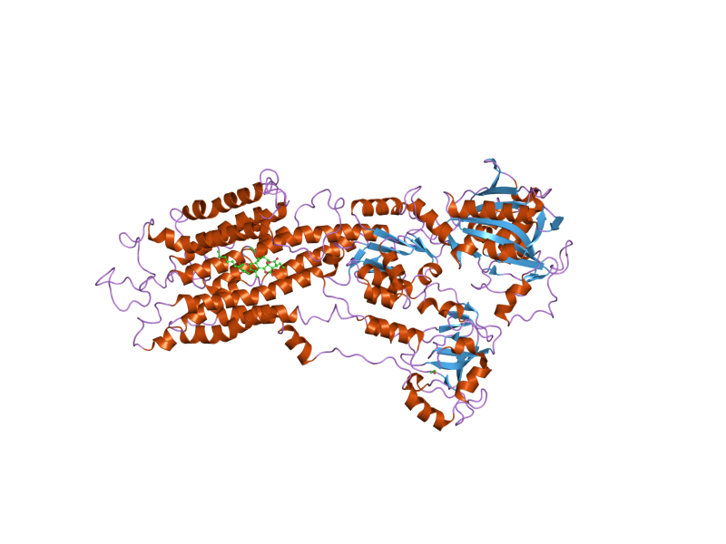 File:PDB 2ear EBI.png