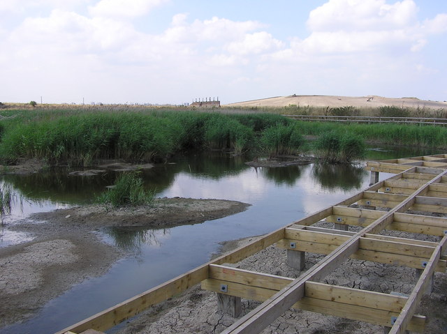 File:Pond and boardwalk at Aveley Marshes - geograph.org.uk - 277153.jpg