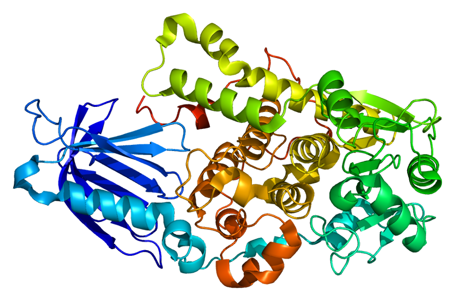 Protein Art. Protean Art. Species PNG. 11 б ген