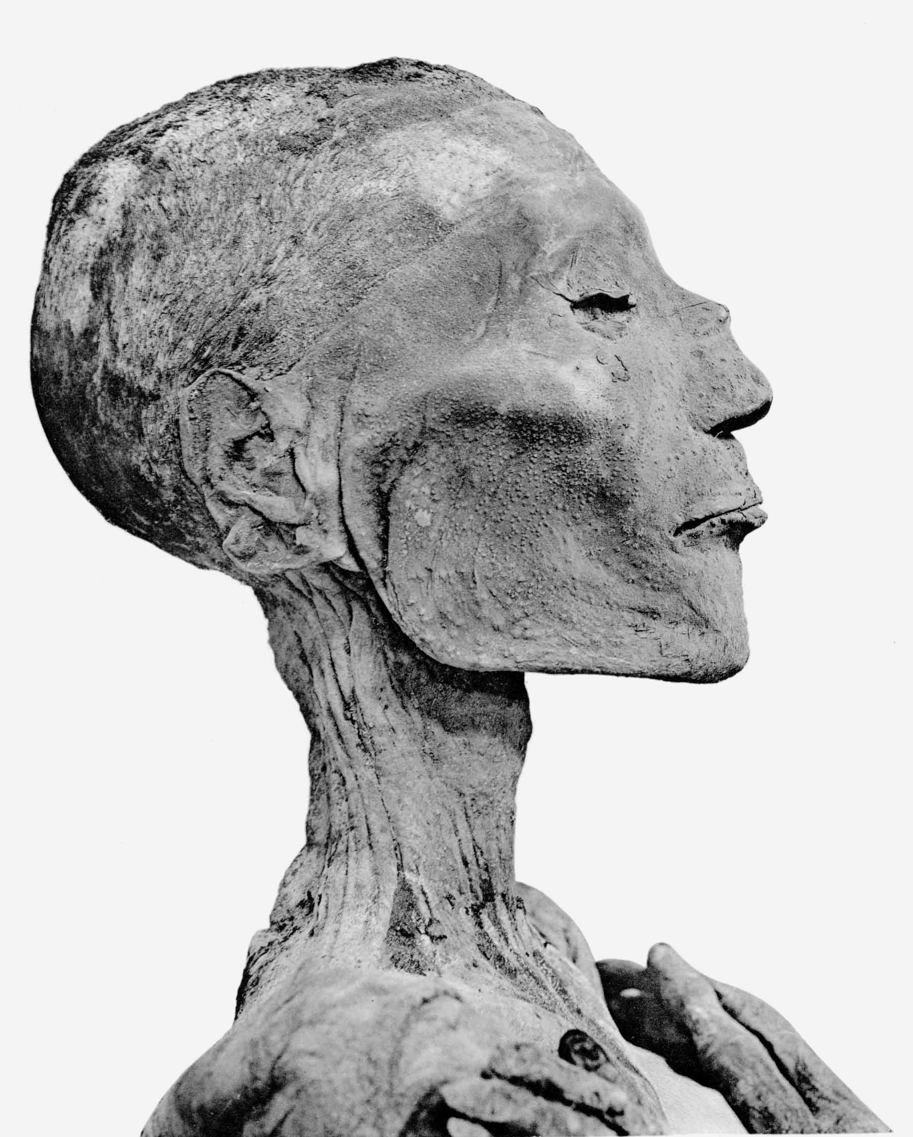 Рамсес II (Египетский фараон) Мумия