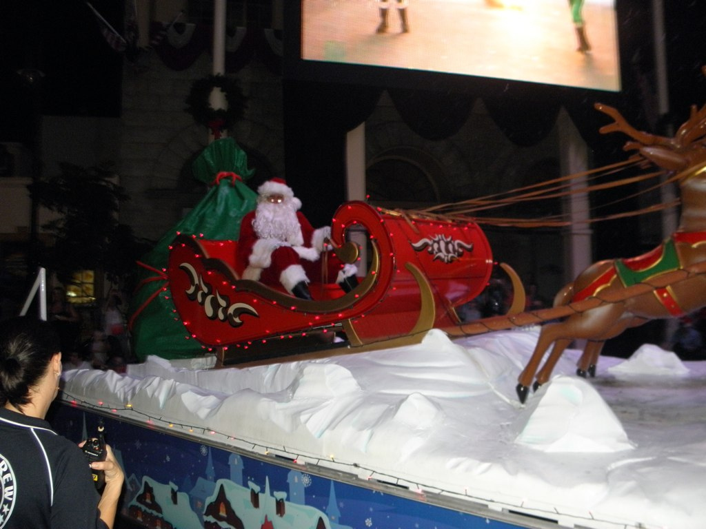 christmas santa claus sleigh