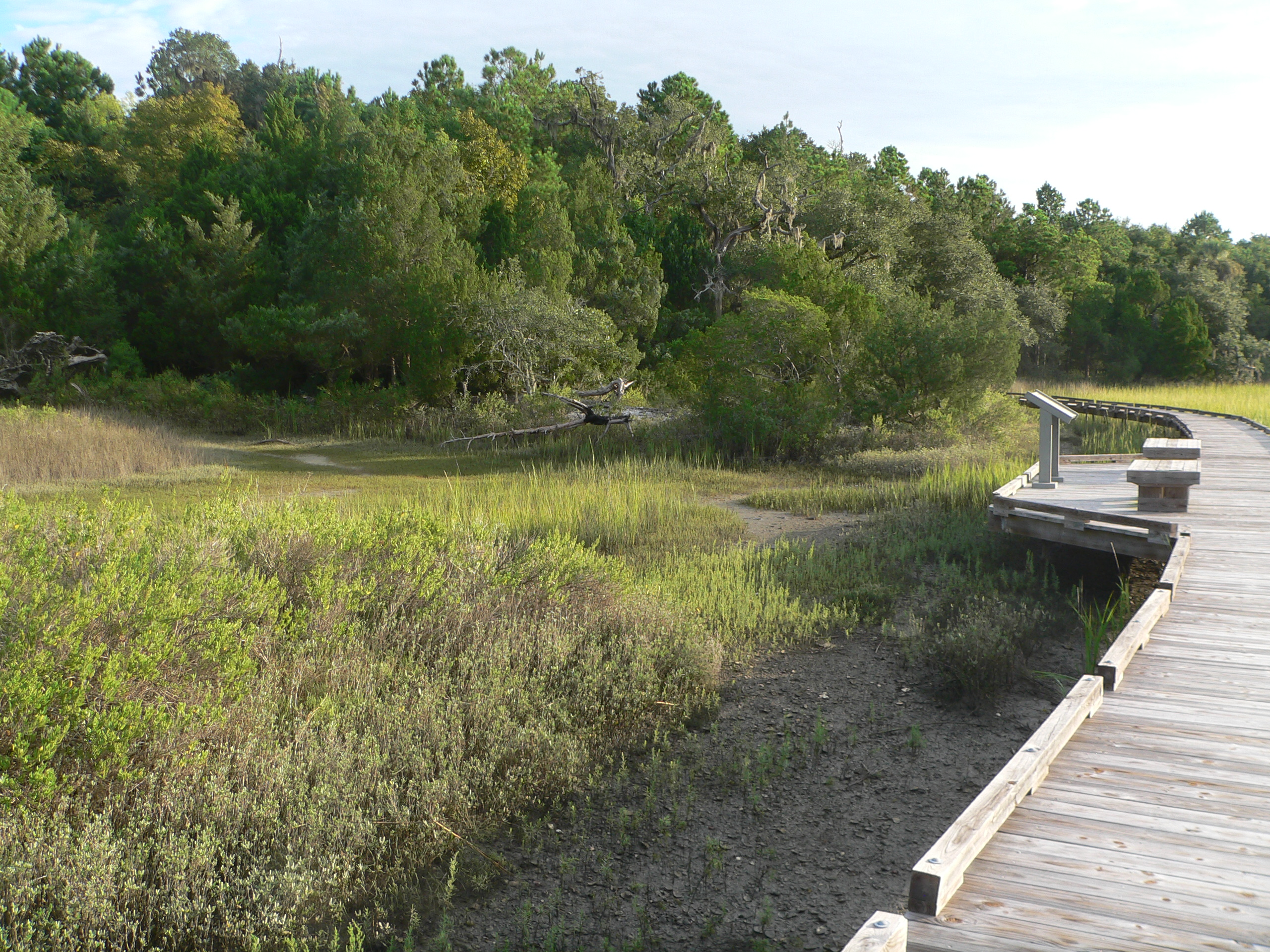 Photo of Sewee Mound