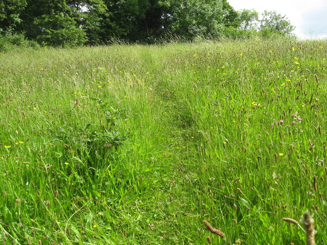 Small Clift Meadow at Willsbridge Mill - geograph.org.uk - 1352536