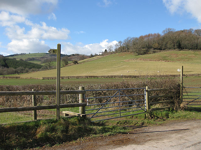 File:Spoilt for choice - geograph.org.uk - 1190174.jpg