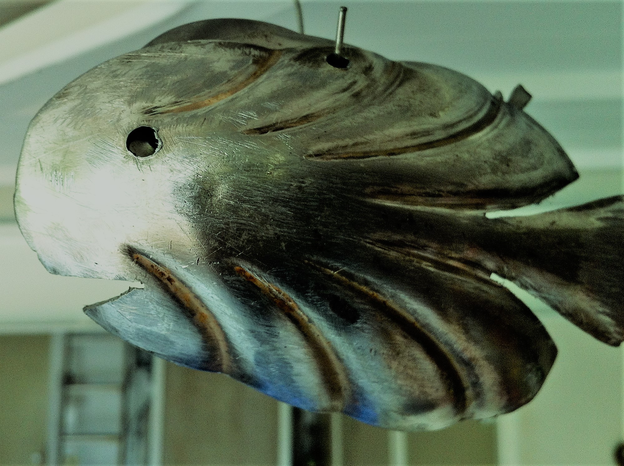 File:Spoon Fish Chime.jpg - Wikimedia Commons