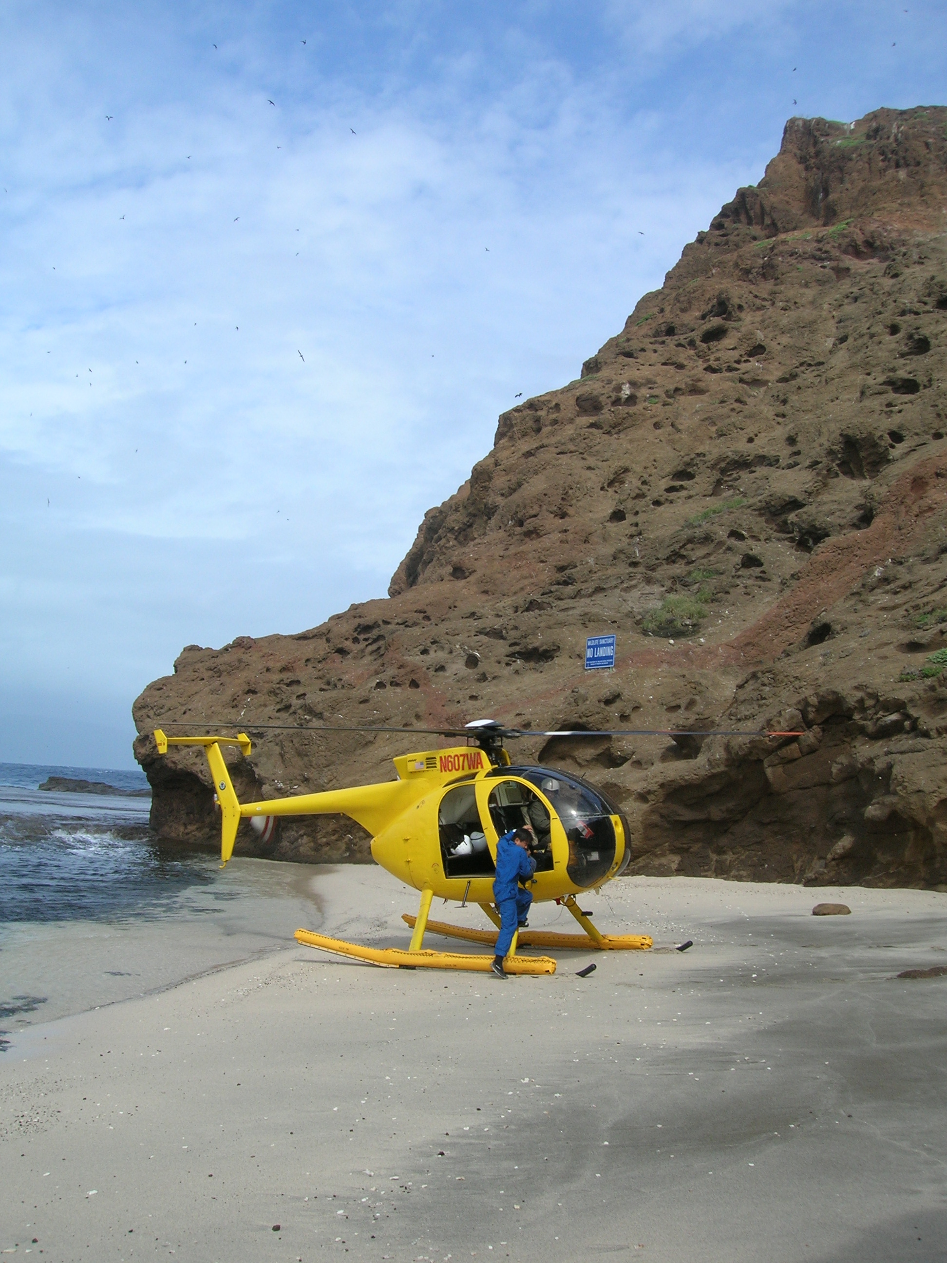 https://upload.wikimedia.org/wikipedia/commons/c/c9/Starr_060228-6234_Yellow_helicopter_on_the_beach_at_Moku_Manu.jpg