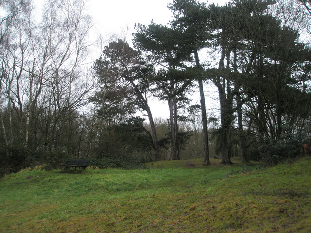 File:The "summit" of Music Hill - geograph.org.uk - 1134646.jpg