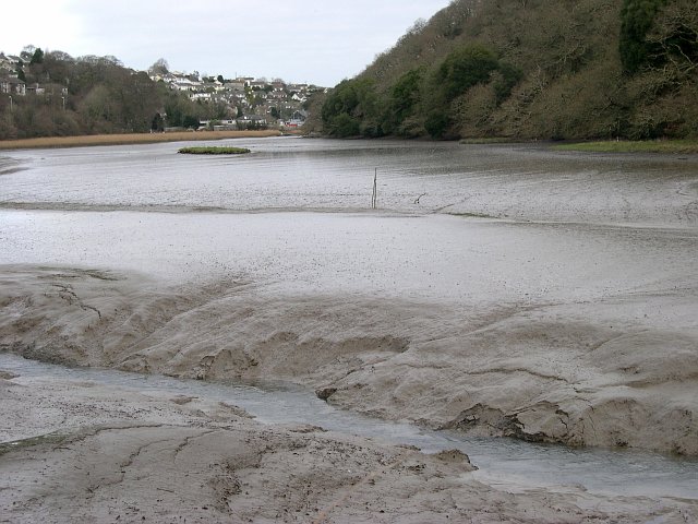 The Tidal Tresillian River - geograph.org.uk - 99759