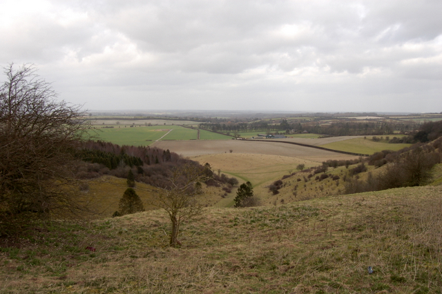 The Warren and White Hill - geograph.org.uk - 711994