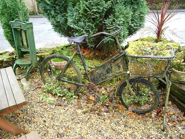 File:The bicycle as planter - geograph.org.uk - 1035503.jpg