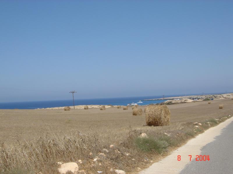 File:The wheat crops collected in rolls, contrasting with the sky and the mediterranean (4611657790).jpg